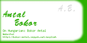 antal bokor business card